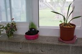 clip_image038