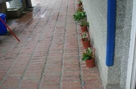 clip_image050
