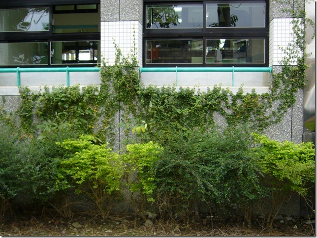 P1170627