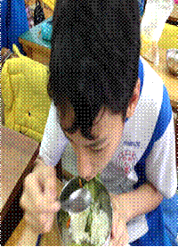 clip_image016