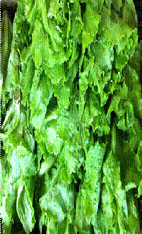 clip_image020