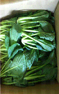 clip_image022