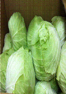clip_image033