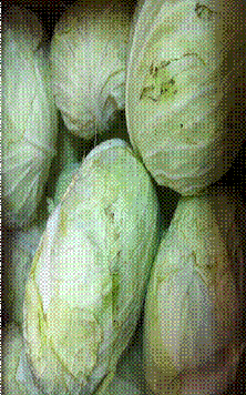 clip_image037