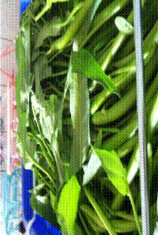clip_image041