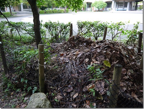 落葉堆肥 (3)