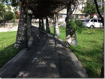 炮杖花種植結合建築物02