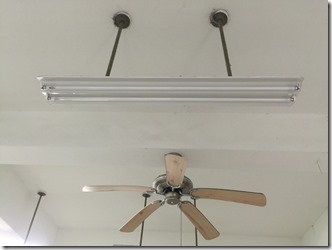 更換節能燈具（一忠）02