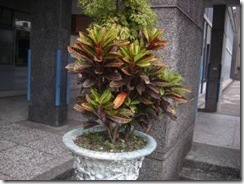 clip_image002