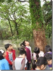 clip_image010