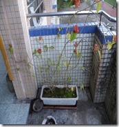 DSC00111