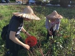 clip_image006[4]