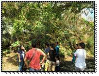 clip_image014