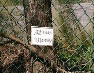 clip_image006