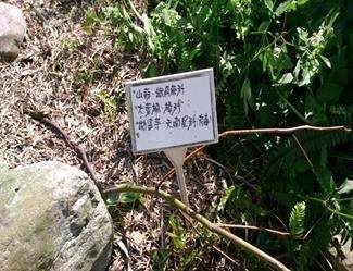 clip_image004