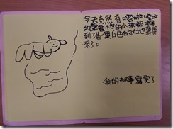 IMAG6611