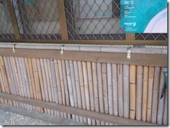 DSCN0570