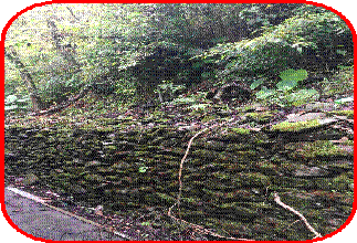 clip_image002