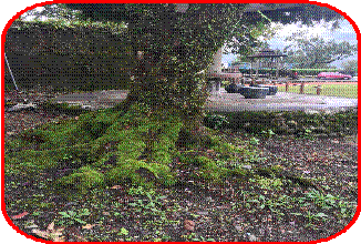 clip_image004