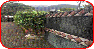 clip_image002