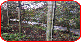 clip_image004