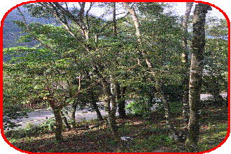 clip_image006