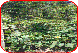 clip_image004