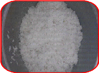 clip_image008