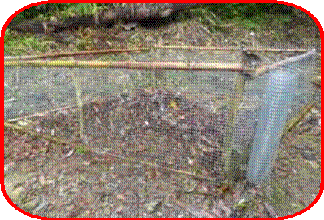 clip_image002