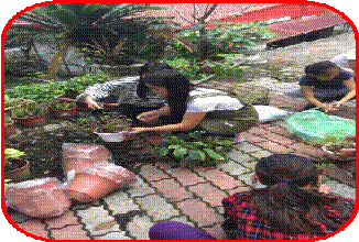 clip_image004