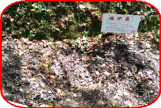 clip_image006
