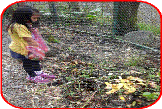 clip_image008