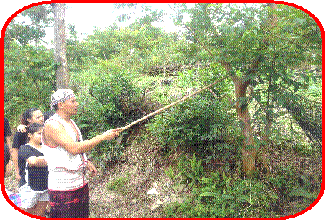 clip_image006