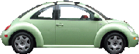 car-bug