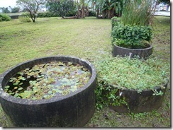 雨水灌溉水生池