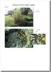 水生植物-補充資料3