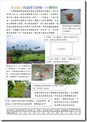台灣樂樹