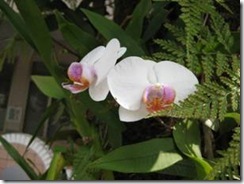 clip_image002[40]