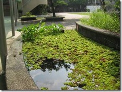 clip_image002[5]