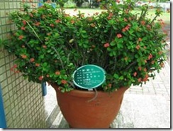 clip_image002[13]