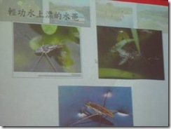 clip_image002[18]