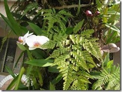 clip_image014