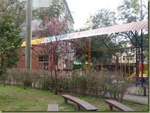 20170306_095623