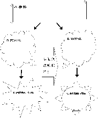 clip_image001