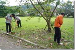 clip_image010