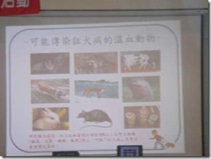 DSC05942-400