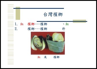 Microsoft PowerPoint - 菸‧檳榔危害防制宣導1050914 [相容模式]00015