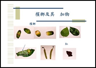 Microsoft PowerPoint - 菸‧檳榔危害防制宣導1050914 [相容模式]00016