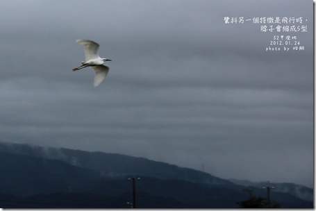 飛行