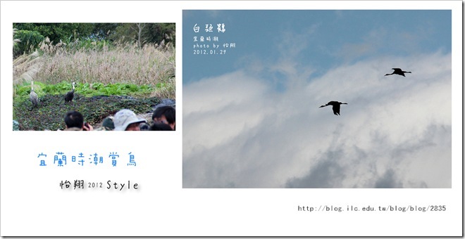 時潮8